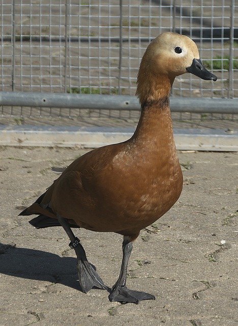 个名额呢