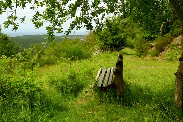 势均力敌的 势均力敌的