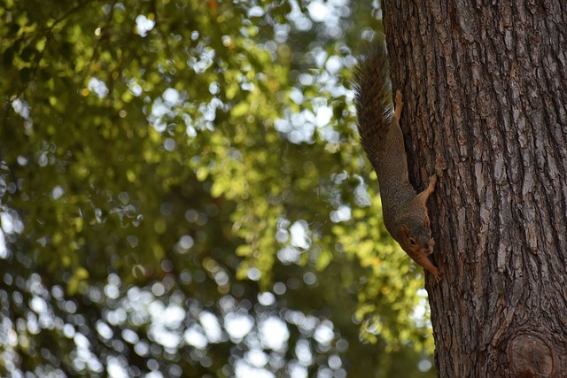 创造力与抗 创造力与抗