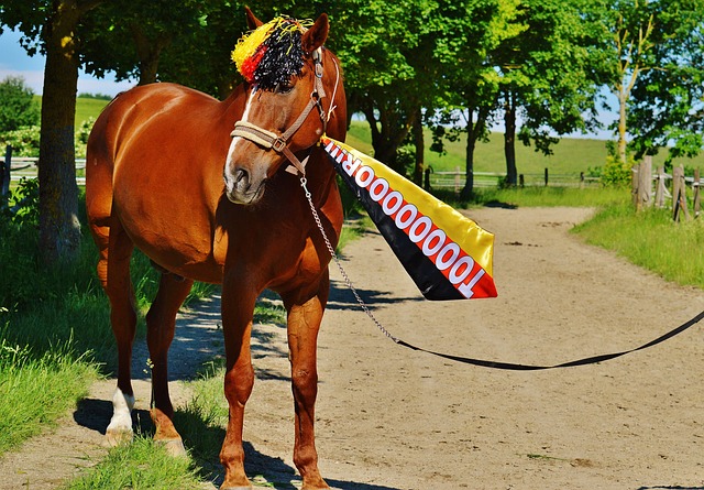 涯的突破 涯的突破